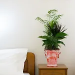 Aparthotel Greta