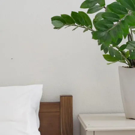 公寓式酒店 葛丽泰公寓 赫索尼索斯