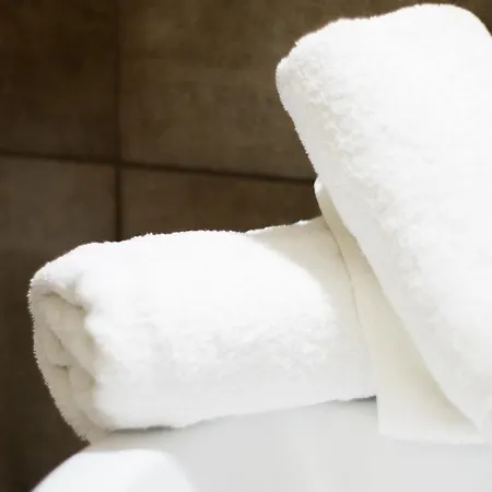 公寓式酒店 葛丽泰公寓 赫索尼索斯