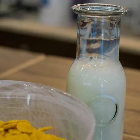 公寓式酒店 葛丽泰公寓