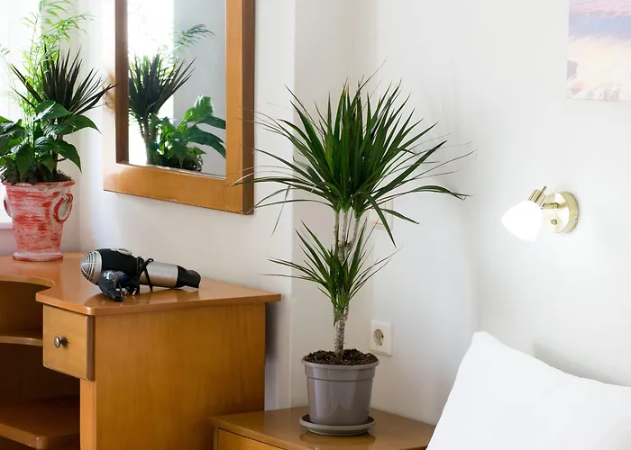 Apartahotel Greta 3*